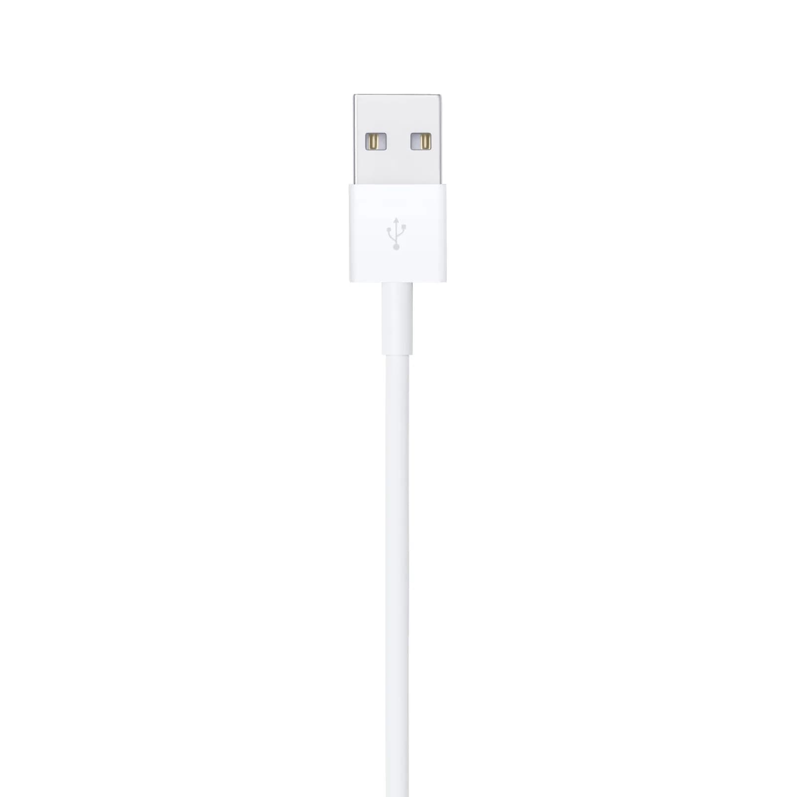 Apple Lightning to USB-A Cable 1m - Image 3