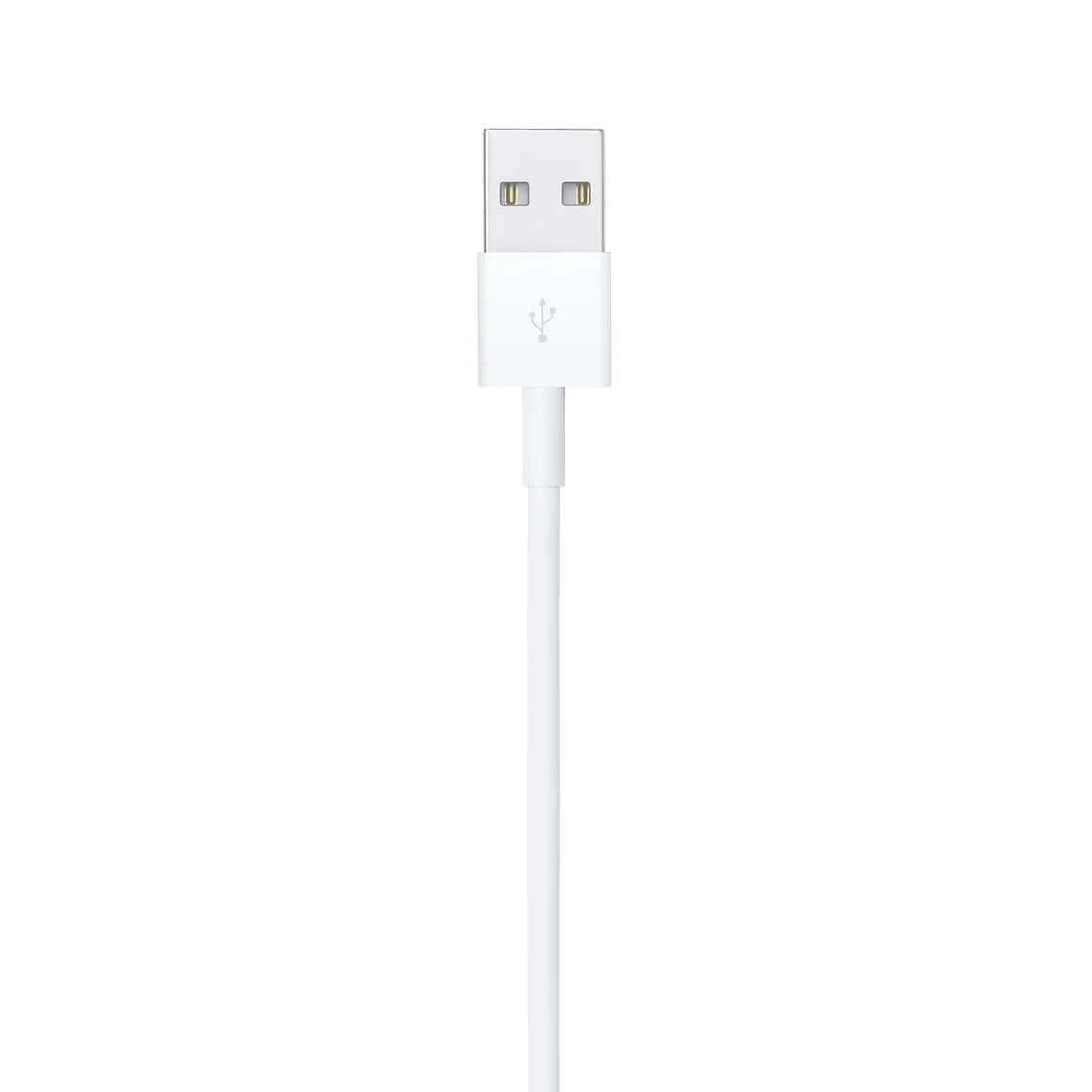 Apple Lightning to USB Cable 1M - Image 4